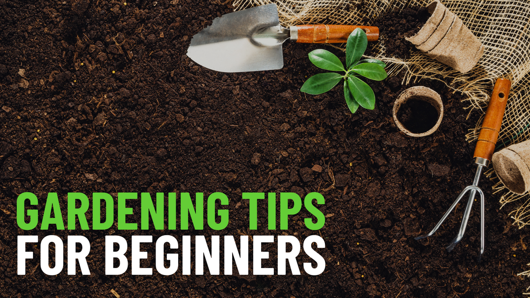 Gardening Tips For Beginners