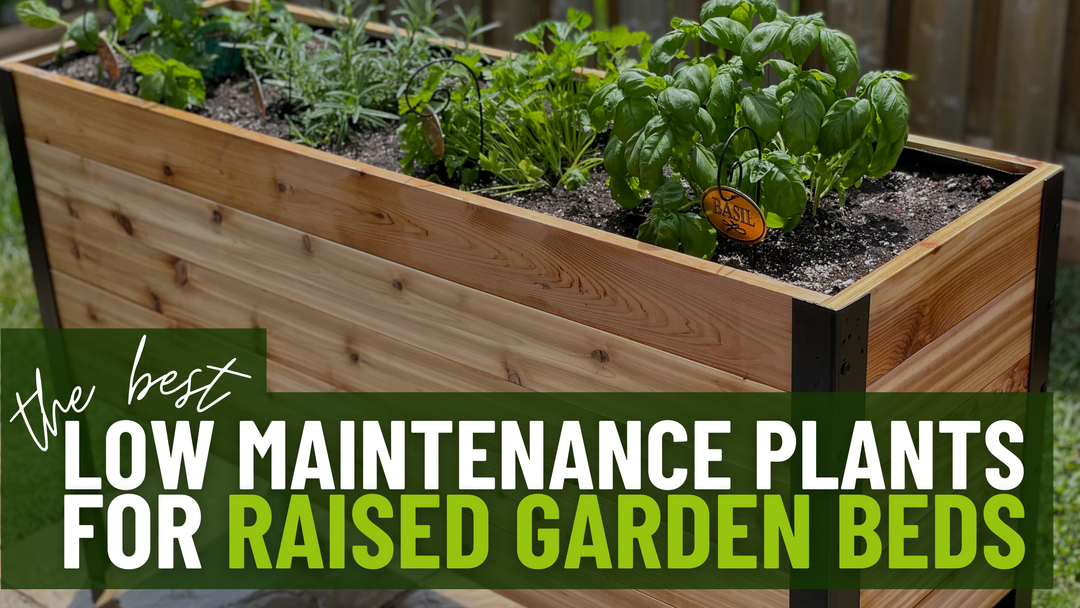 The Best Low Maintenance Plants For Raised Garden Beds
