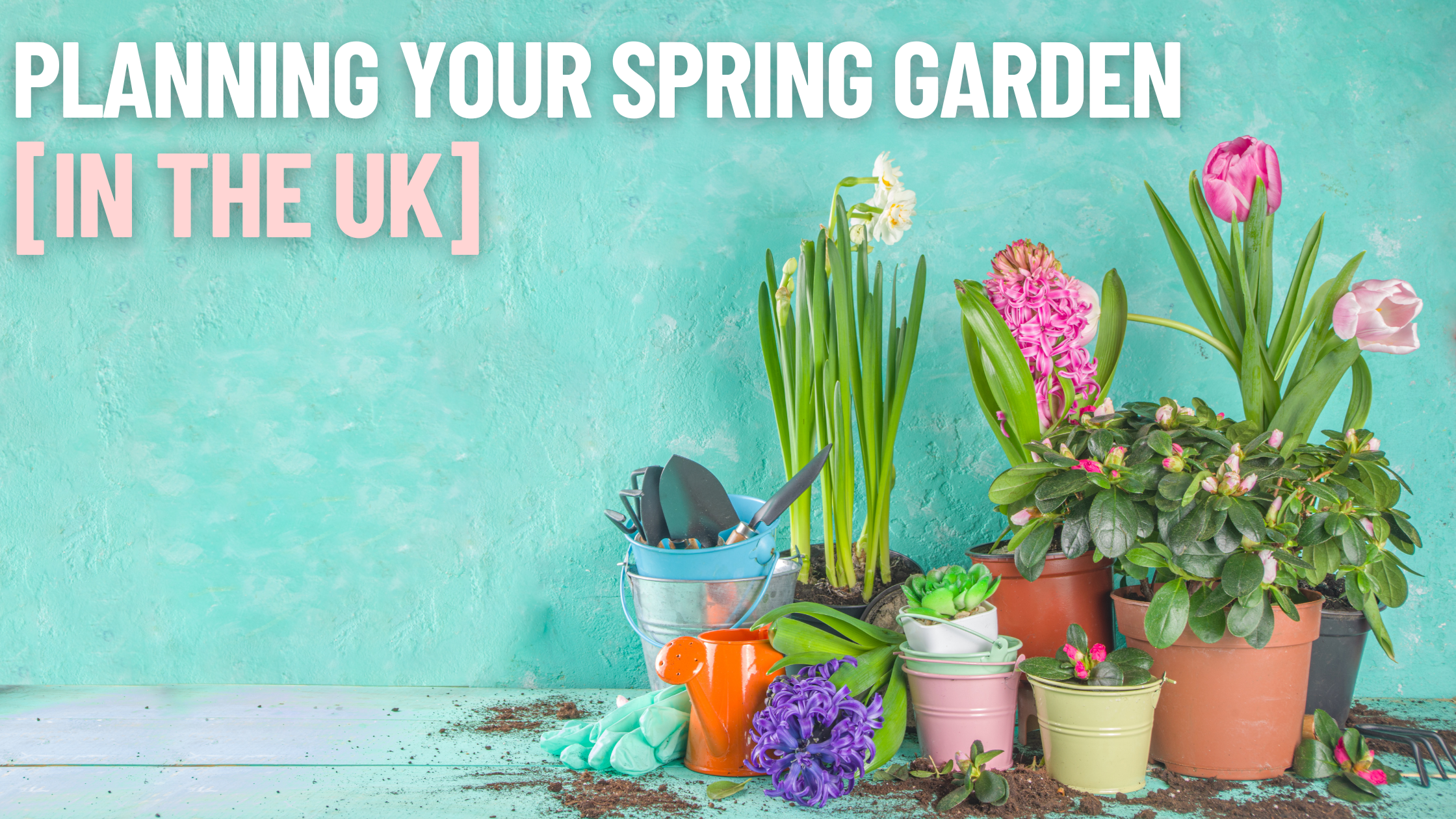 Planning Your Garden For Spring In The UK – Cedar Planters Japan - アース ...