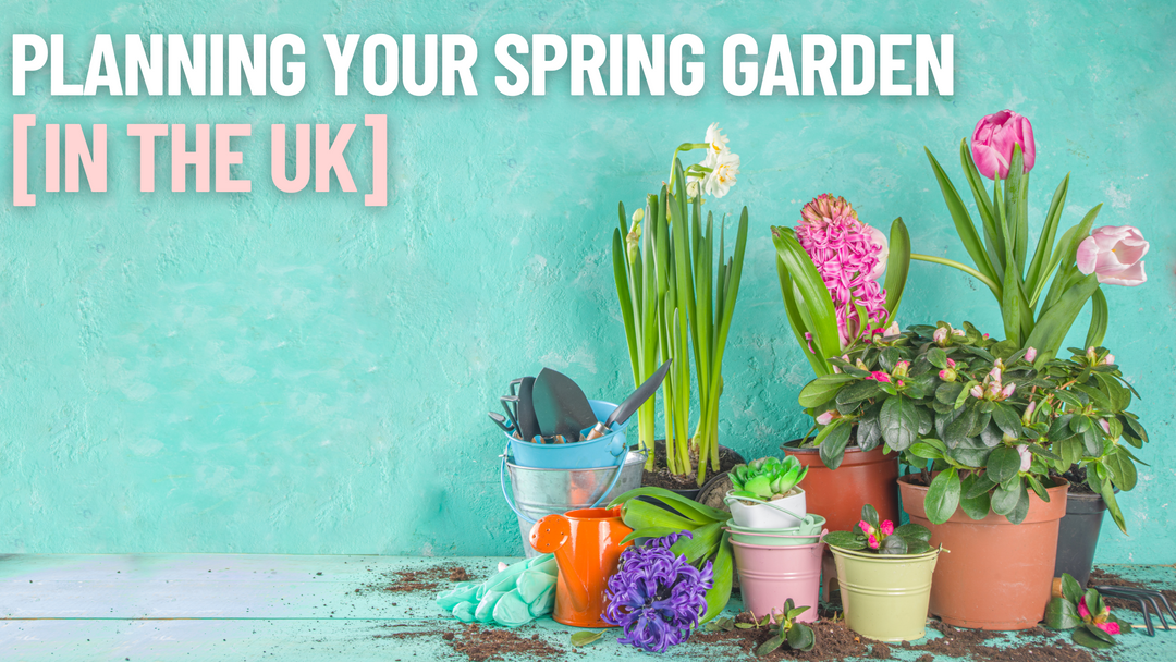 Planning Your Spring Garden In The UK
