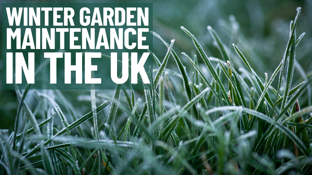 Winter Garden Maintenance In The UK