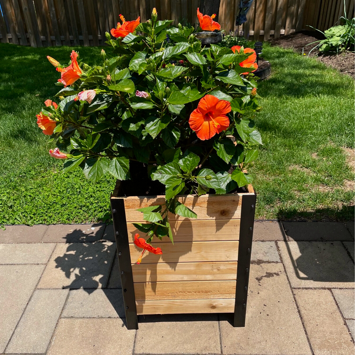 Pot planter - 46cm x 46cm x 61cm