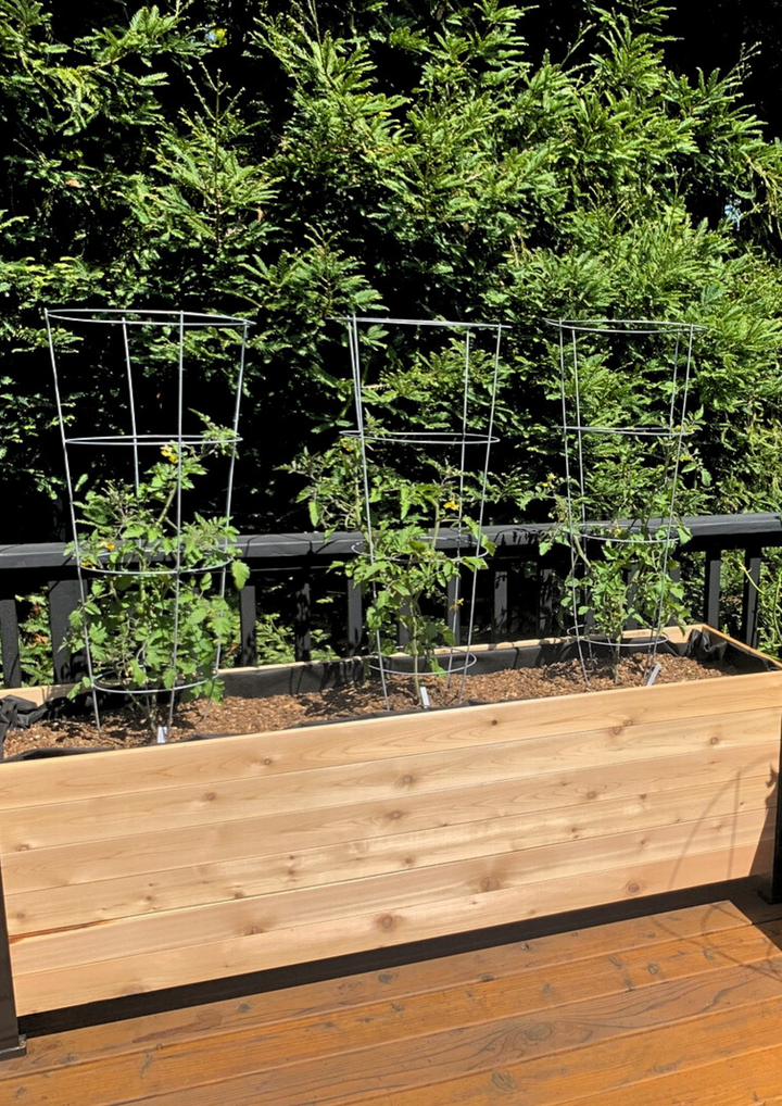 E-book: Tomato Growing Guide (English version)