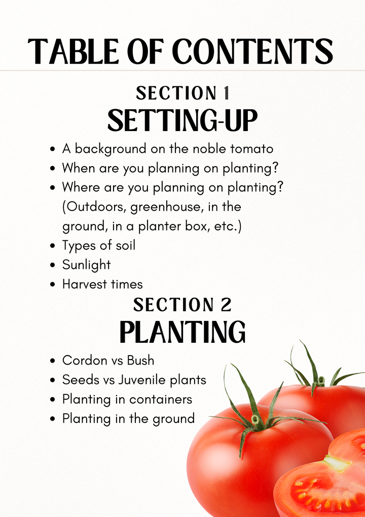 E-book: Tomato Growing Guide (English version)
