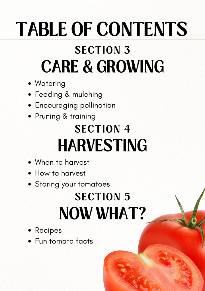 E-book: Tomato Growing Guide (English version)
