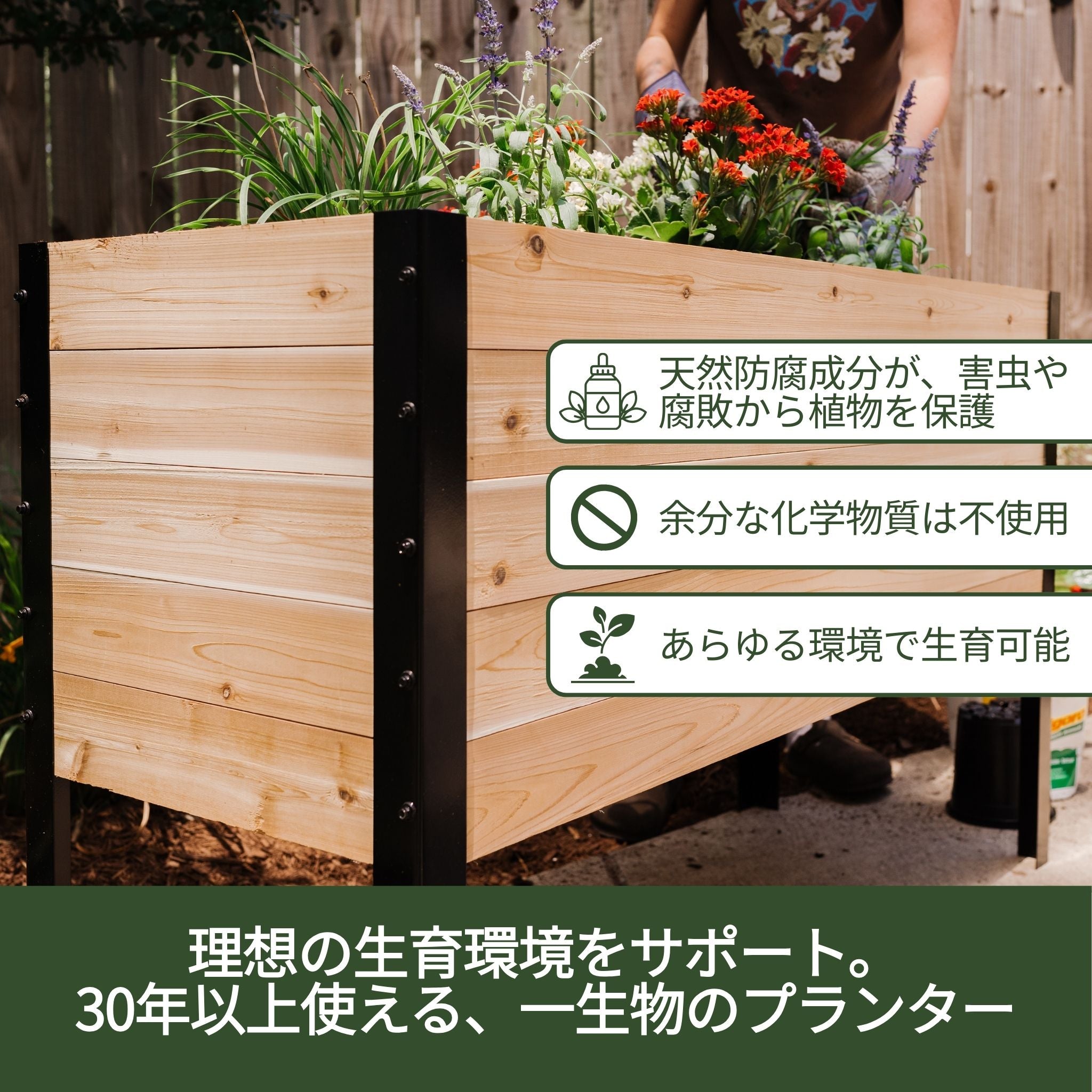 レイズドベット Amazon.co.jp: レイズドガーデンベッド スチール 粉体塗装