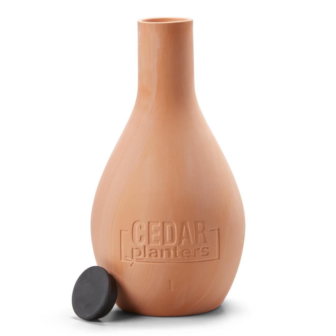 自己給水型の粘土オジャポット