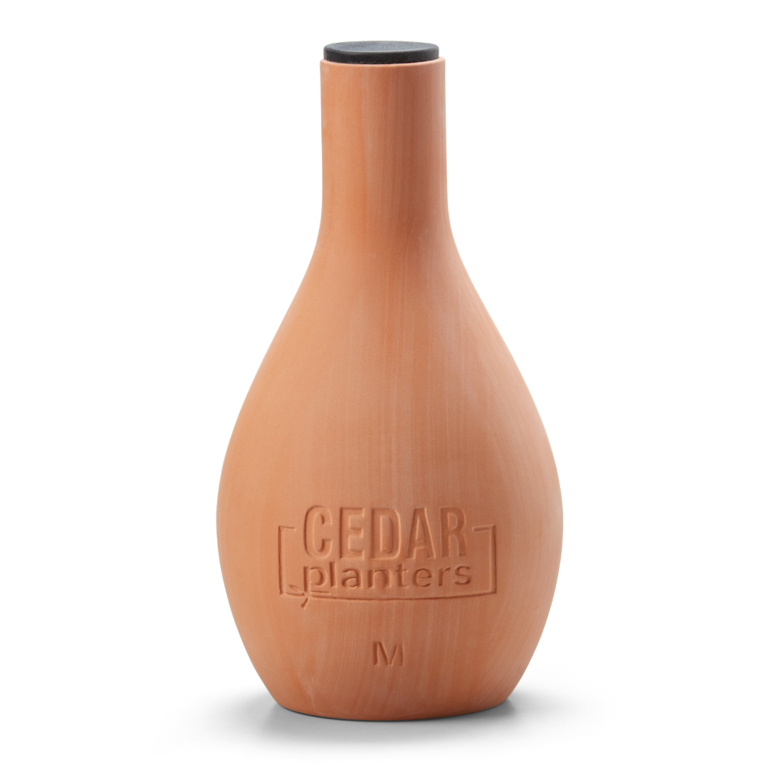 自己給水型の粘土オジャポット