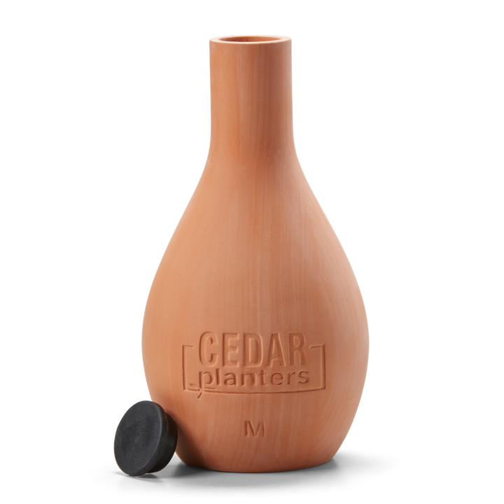 自己給水型の粘土オジャポット