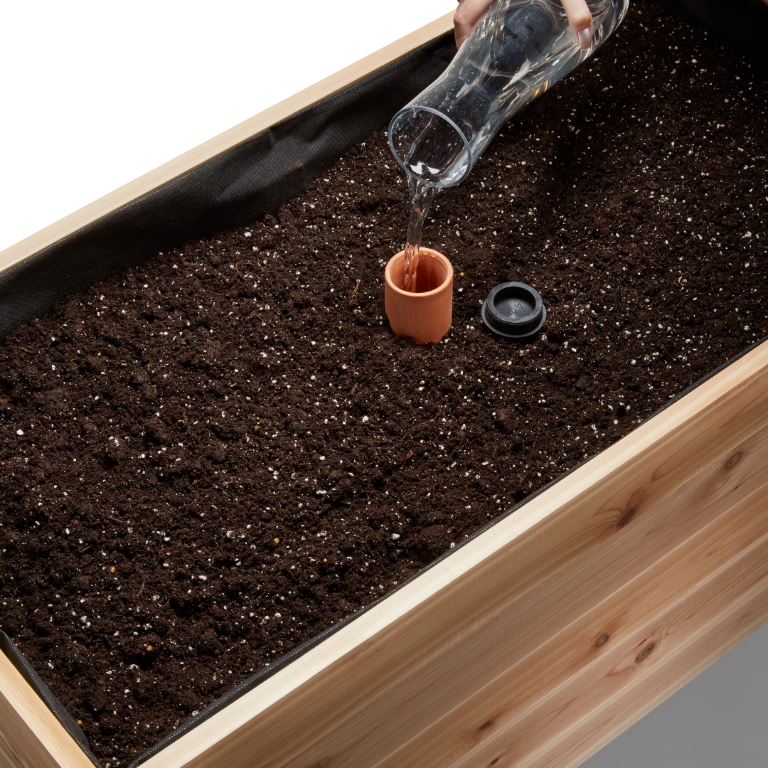 自己給水型の粘土オジャポット