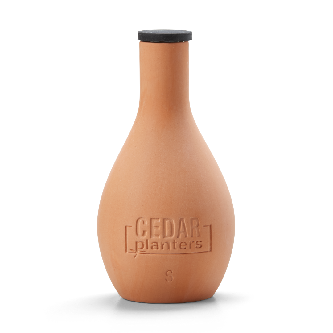 自己給水型の粘土オジャポット