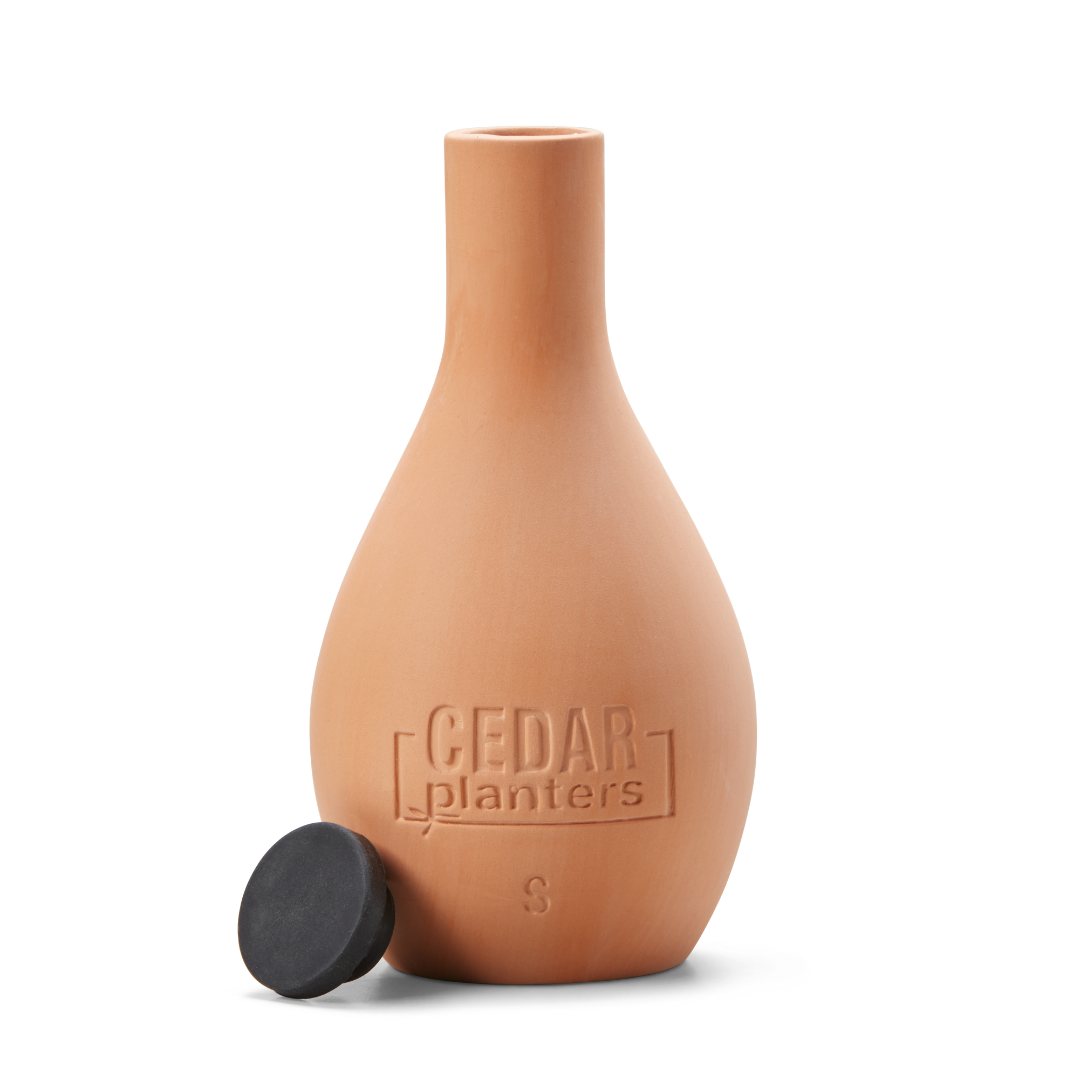 自己給水型の粘土オジャポット