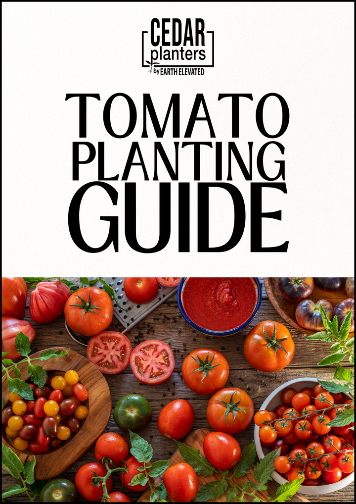 E-book: Tomato Growing Guide (English version)